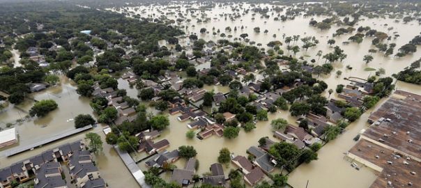 Rethinking Cities as Vulnerable Ecosystems