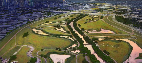 Three Case Studies in Re-wilding:  Models and Methods for Other Cities to Consider