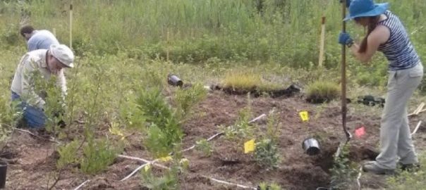 The Seven Habits of Highly Effective People Who Want to Do Ecological Restoration