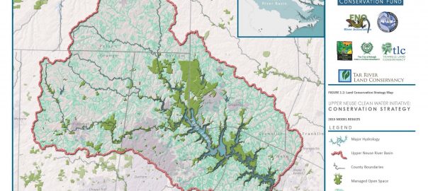 Protecting More with Less: More Nature in Cities with the Science of Strategic Conservation