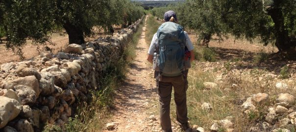 Westward Wandering and Wondering