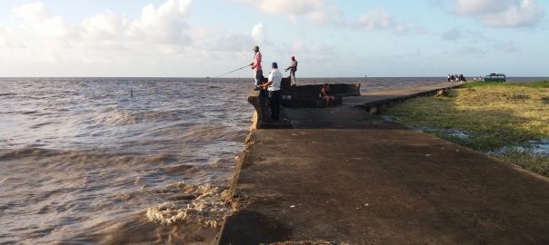 Water is Everywhere in Georgetown, Guyana—Our Disrespect for it will Kill Us