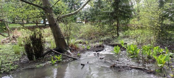 Map and Explore: Hidden Hydrology