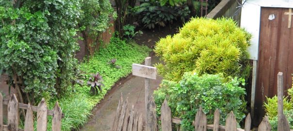 Cities of Difference, Part I: Gender is Important in Understanding Nature in Cities