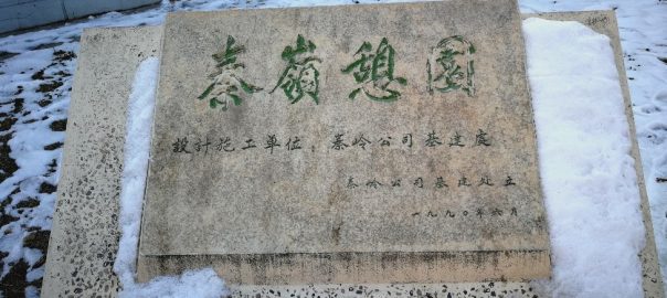 Saving a Sense of Place, Saving Our Home / 拯救地方感，拯救家乡