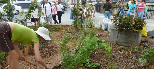 Great Cities Grow from Great Spaces and Listening to their Citizens