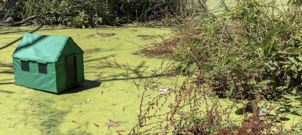 SALT: Restoration + Recreation = Water in California