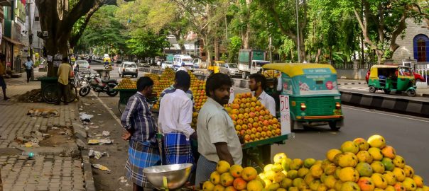 Secular, Sacred, and Domestic—Living with Street Trees in Bangalore