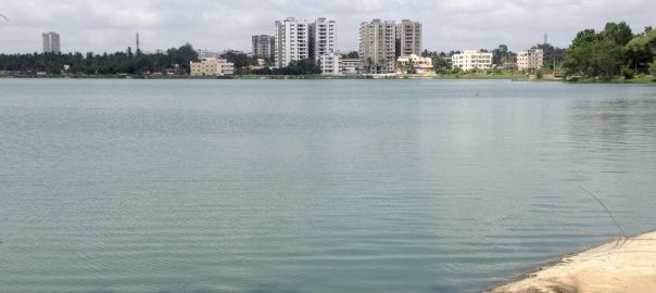 Changing Green Cities from Myth to Reality