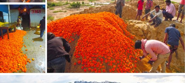 Bangalore Pile Study: Curiosity and Intervention in the Margins of a Megacity