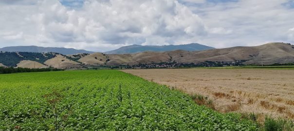Farmers From the City