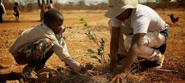 Ecosystems for everyone: Who should have access to the myriad benefits of ecosystem services and urban nature? Everyone. Does everyone? No. How will we achieve this moral imperative?