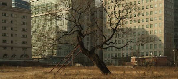 A City Designed by Trees