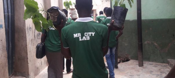 Restoring Indigenous Trees for Scaling Up City Resilience: The Role of African Millennials