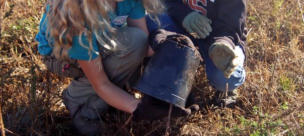 Taking the Long View: Looking at Landscape Restoration Through Varied Lenses