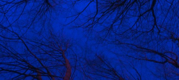 Artists in Conversation with Air in Cities