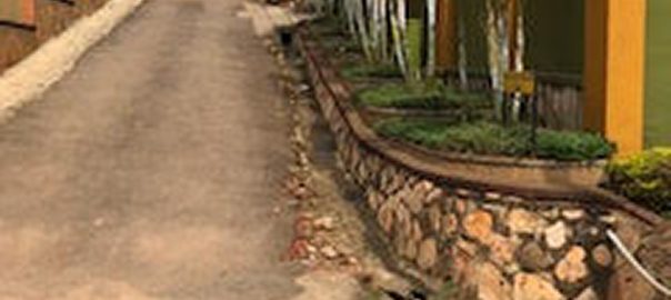 Walls that Talk: Green Fences in Kampala City