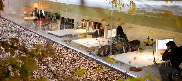 Biophilic Benefits or Bio-baloney? (Probably) the Former