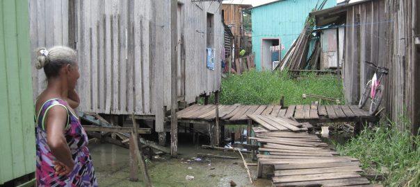 Regaining Paradise Lost: Global Investments, Mega-Projects, and Seeds of Local Resistance to Polluted Floods in Belém