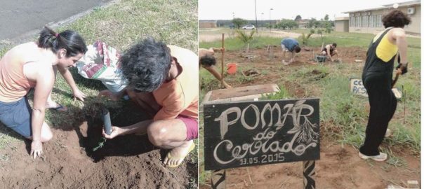 Orchards from the Forest: A Local Solution to Extinction