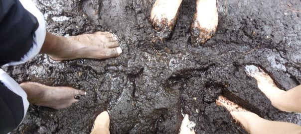 The Planet’s Gift to Humans: Soil Uncovered