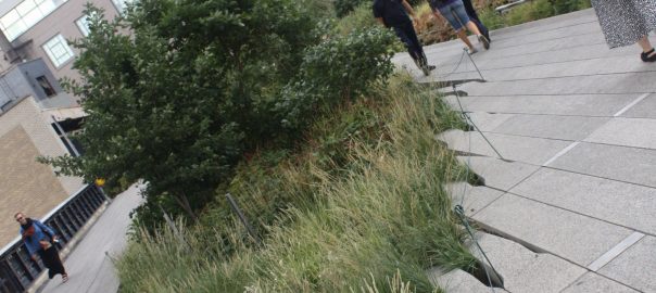 What is one thing every ecologist should know about urban ecology?