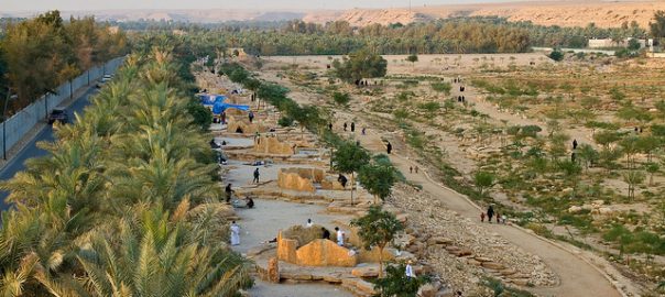 Rethinking Cities in Arid Environments for the 21st Century