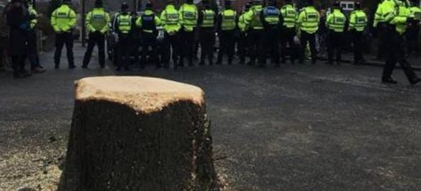 The Sheffield Street Tree Massacre: Notes from a Public-Private Partnership Gone Wrong