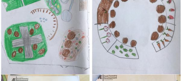 From Wet Feet to a Tiny Food Forest—How These 4th Graders Transformed Their Schoolyard into a Tiny Food Forest