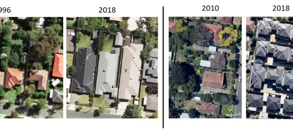 How can local governments retain and plant trees on private lands—a primer