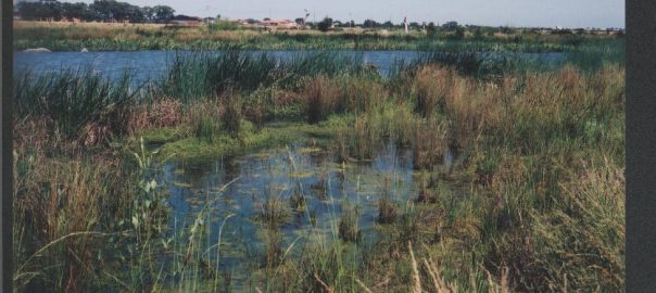 Water Sensitive Urban Design Goes Mainstream in Victoria, Australia