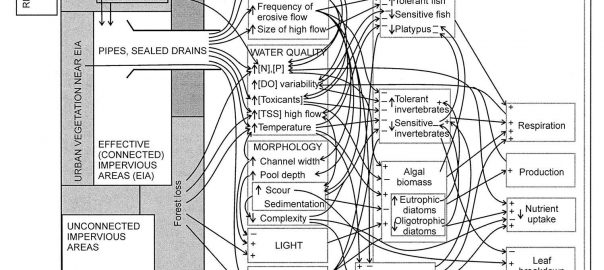 We’re Not “Solving” Wicked Challenges through Design and Science. Is That Ok?