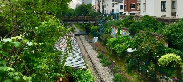 From City of Light to Ville Verte: How a Comprehensive Approach to Climate Change Adaptation is Making Paris the World’s Green Innovator