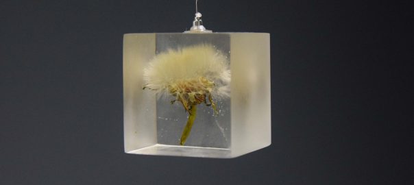 Can Artistic Knowledge Bring Us Closer to Encountering the Co-influence of all Living Organisms?