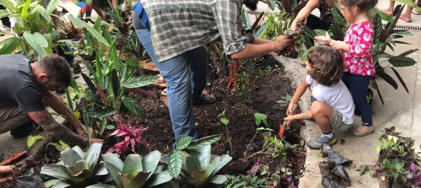 How is the concept of “stewardship” and “care for local environments” expressed around the world?