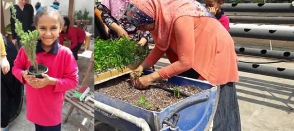 Biophilia Revived: How Do We Strengthen the Connection to the Natural Environment in a City Expanding in the Desert