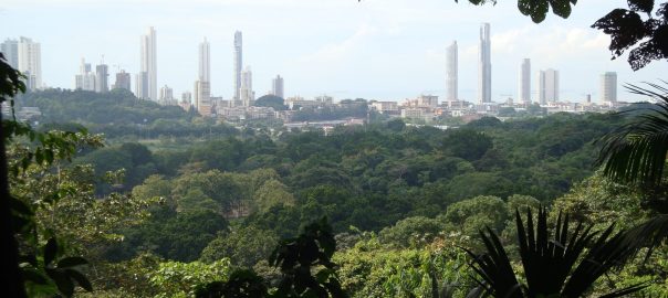 Tree Planting in Green Urban Infrastructure