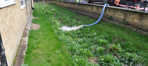 A Storm in a Bioswale: Breaking Down Barriers to Nature-Based Solutions