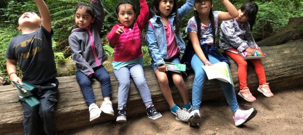 Paseos Verdes: The Story of a Morning Walk and a Partnership for Greater Community and Watershed Health