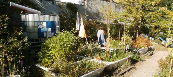 Placing Equity at the Center of the Urban Greening Agenda