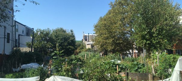 What the Garden Belongs To: Sensorial Listening in Urban Space