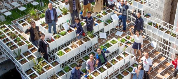 The Green Cloud, A Rooftop Story from Shenzhen: A “Living” Sponge Space Inside an Urban Village
