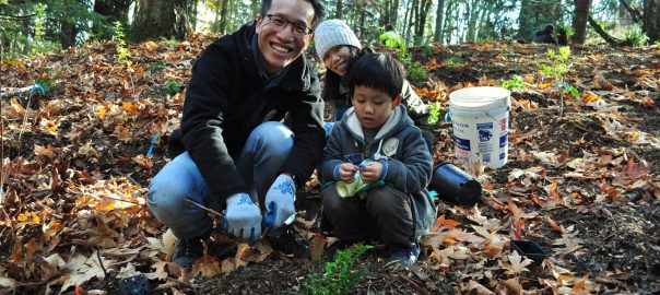 What is the status and outlook for forested natural areas in your city? What actions are needed to help them thrive?