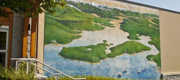 The 6th Mass Extinction and Cities: A View from Vancouver