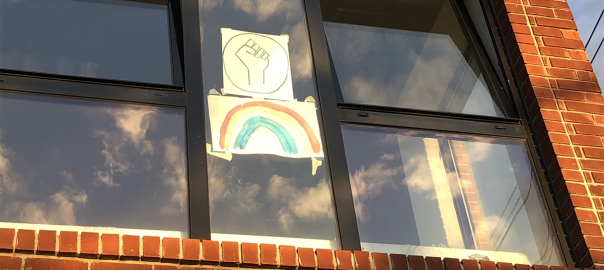 The View from Our Windows: Our Social Ecologies of Sheltering in Place