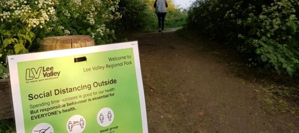How is COVID-19 affecting caring for and researching urban ecology?