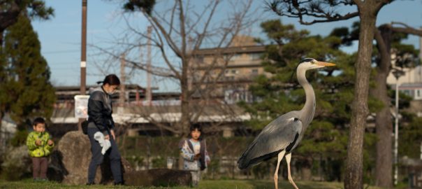 We Had Forgotten That We Are Ecological Beings