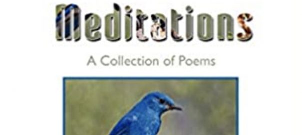 My Past, Present, and Future: A Review of Ecological Mediations