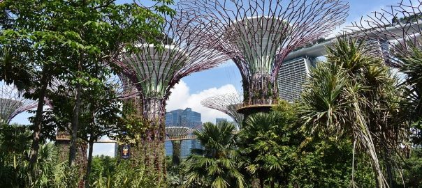 The Place of Nature in Cities: Taking Inspiration from Singapore