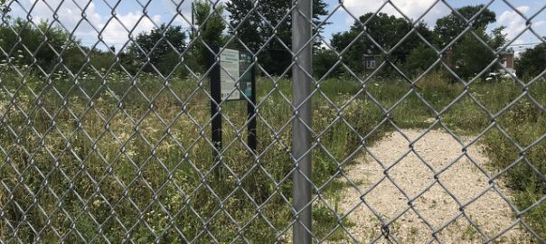 Gifting a White Elephant, In the Form of Green Infrastructure
